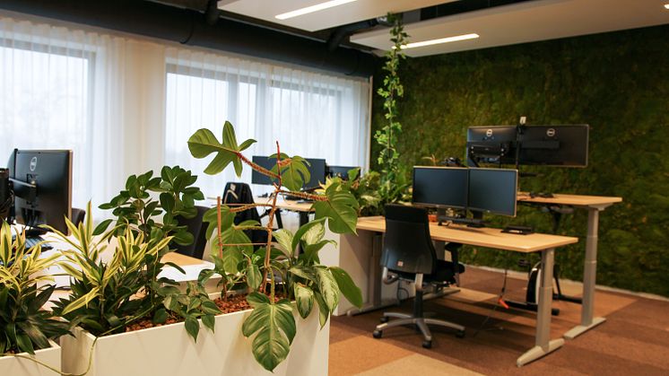 20210128-Image-Workspace-GreenDesks-High-6000x4000.jpg