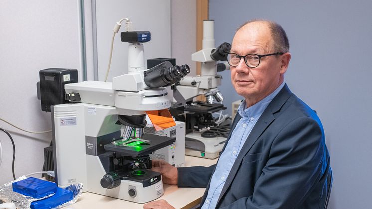 Anders Blomqvist, professor emeritus vid Institutionen för biomedicinska och kliniska vetenskaper vid Linköpings universitet.