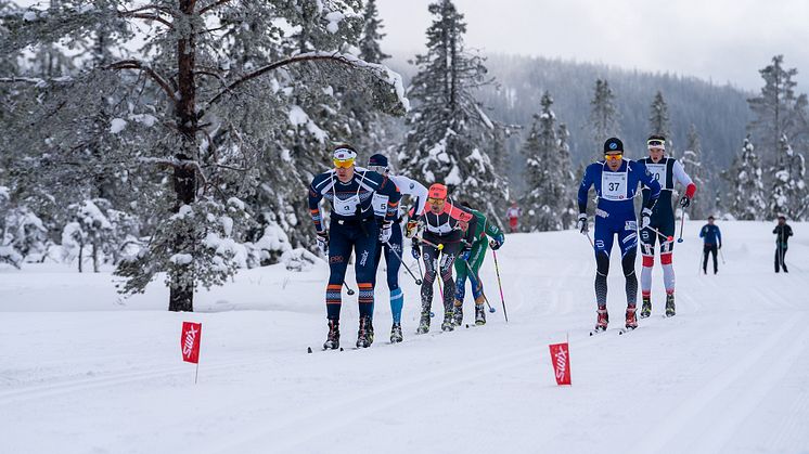 Trysil Skimaraton er kjent for å være et snøsikkert turrenn. Foto: Jonas Sjögren/Trysil