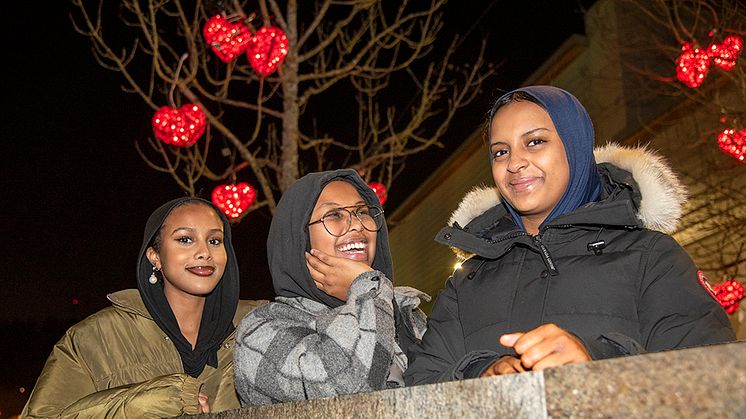 Iman Adan Galel, Deka Rage och Sabirin Dini från Bergsjön var tre av 10 000 europeiska ungdomar som i slutet av oktober deltog på Europeiska ungdomseventet i EU-parlamentet i Strasbourg.