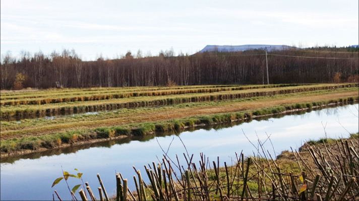 Framsidesbild SVU-rapport 2016-16. Hede fällningsdammar med Sonfjället i bakgrunden. Foto: Erik Norin, Sweco Environment