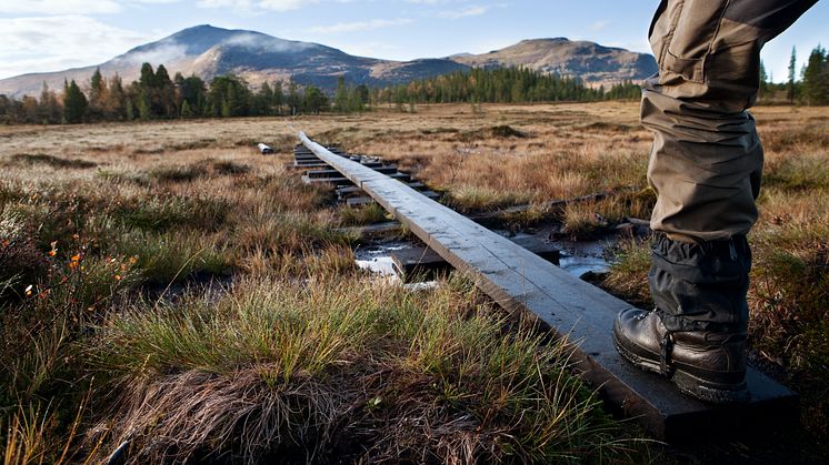 Med den snart lanserade plattformen Nordic Outdoor Adventures kan fler hitta sitt nästa äventyr.