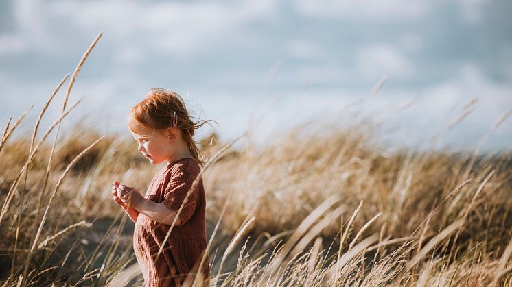 Sensommar i Halland. Foto: Alexander Hall