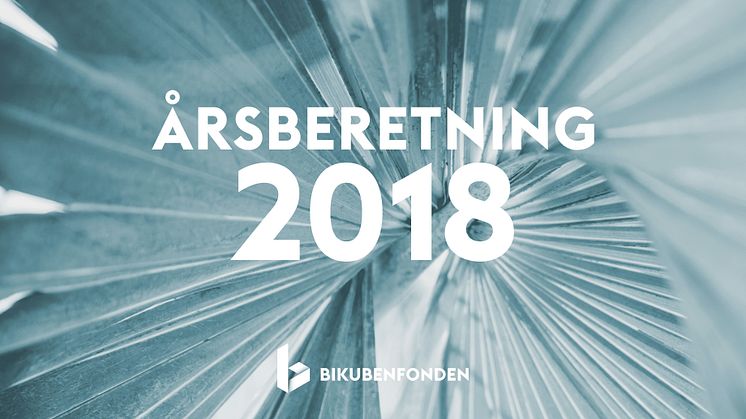 Få et indblik i Bikubenfondens økonomi, strategi og milepæle 2018