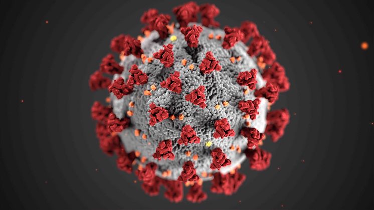 Neue Sonder-Kategorie für Meldungen zum Corona-Virus (COVID-19)