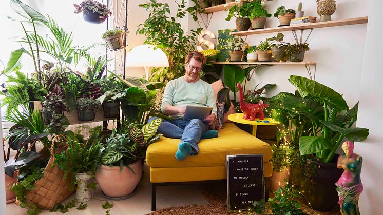 Morning Room - ett rum för växter, ljus och harmoni