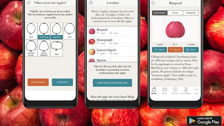 Tips på användbar äppel-app och en fruktförmedlingstjänst i skördetid 