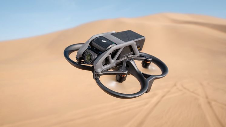 DJI Avata - Desert Shot 07