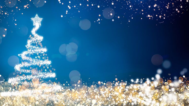 Weihnachtsbaum_iStock-875121230.jpg