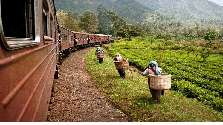 Populär tågresa på Sri Lanka 