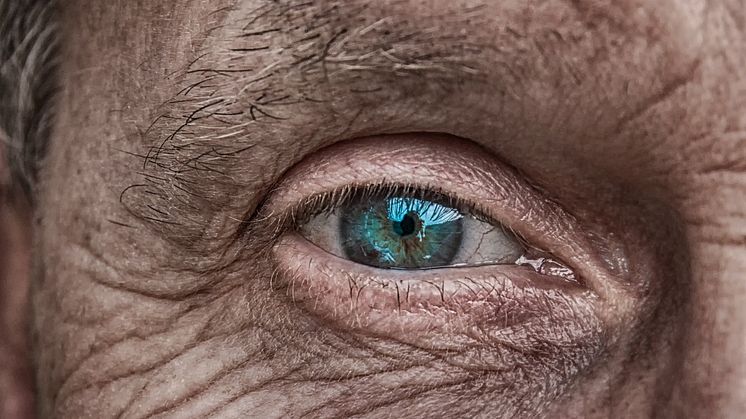 Mindre risk för synproblem hos äldre med diabetes visar rekordstor studie. Foto: Pixabay