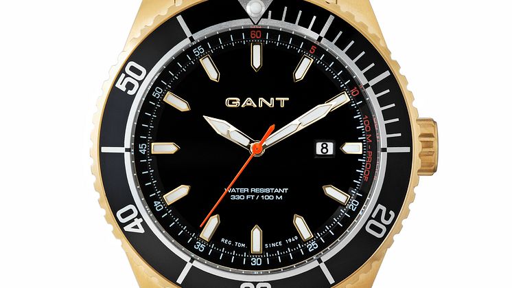 GANT Time - W70395