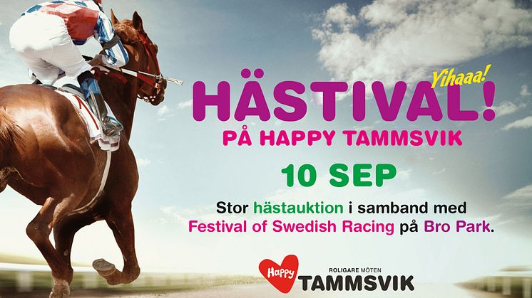 Hästival på Happy Tammsvik