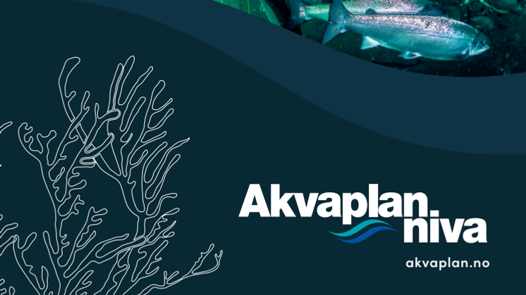 Aquaculture at Akvaplan-niva brochure English