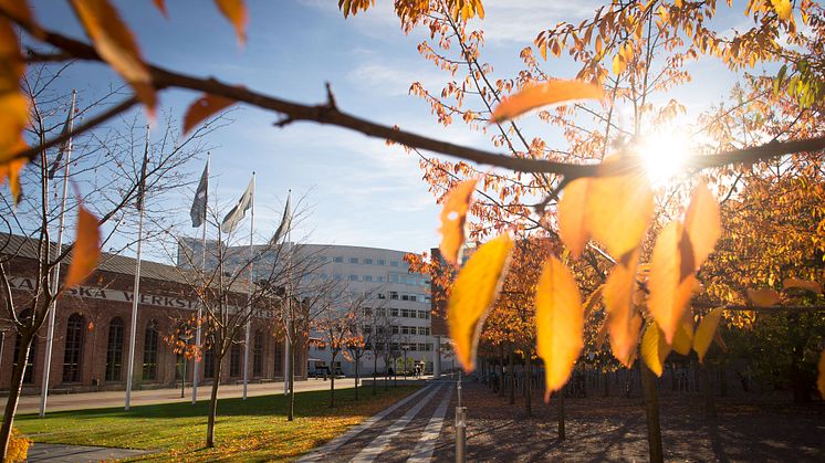 Två vernissager på Jönköping University