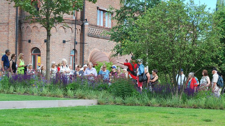 Sommarblomsvandring i Umeå 2016. Foto: Umeå kommun