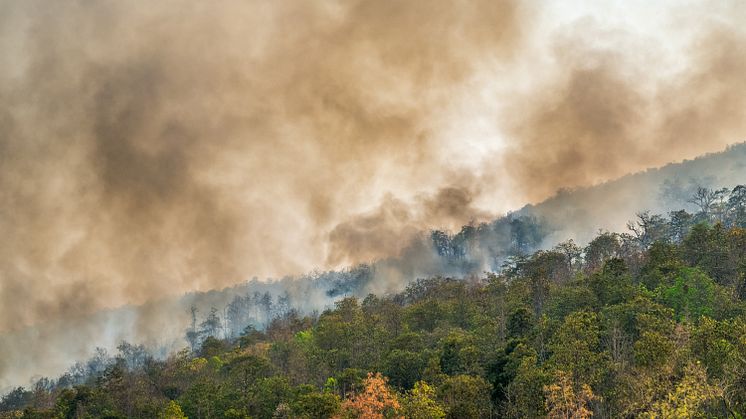 Flere påsatte brande hærger Brasilien end sidste år, men opmærksomheden er ikke så stor som sidste år.