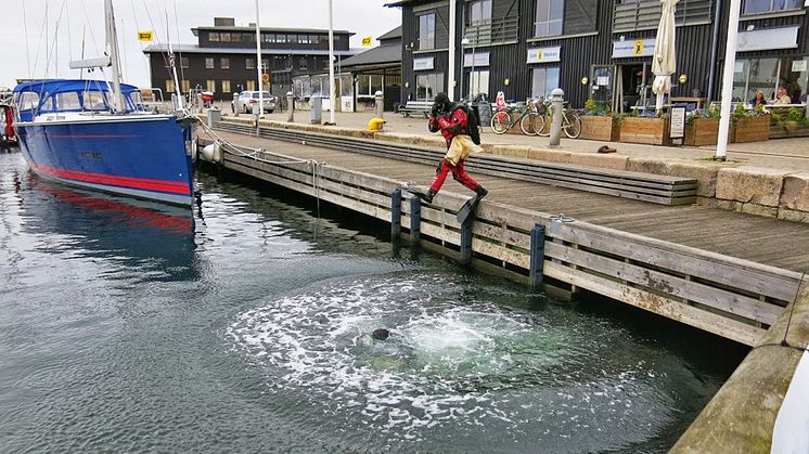 Plykning i Råå hamn