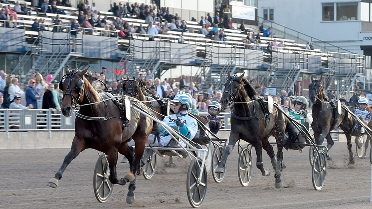 Francesco Zet och Örjan Kihlström segrar på Solvalla. Foto: TR Bild