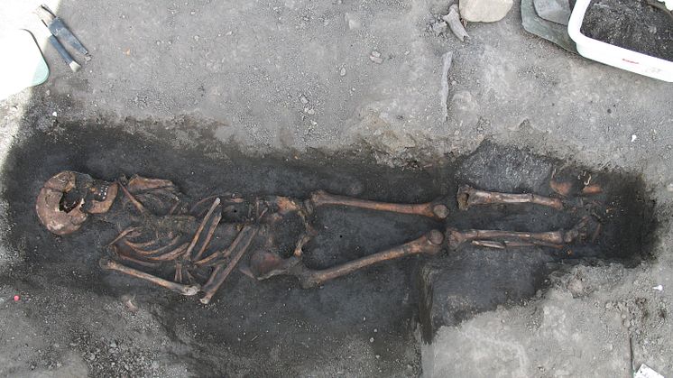 Medeltida skelett från Sigtuna