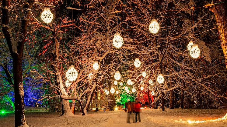 LUMAGICA in Schloss und Park Lichtenwalde ab 25 November(c)MK Illumination (18)