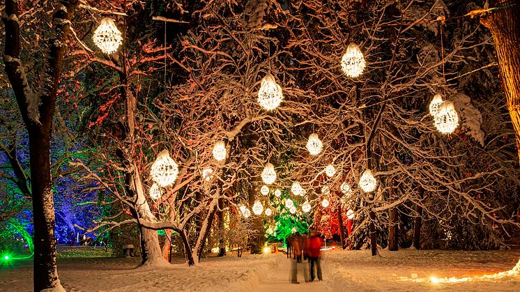 LUMAGICA im Schloss und Park Lichtenwalde (Foto: ASL Schlossbetriebe / MK Illumination)