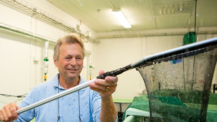 Professor Anders Kiessling håller i en håv. Fotograf: Jenny Svennås Gillner