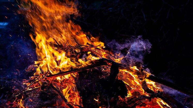 Många djur riskerar att brinna inne på valborg. Foto: TheOtherKev/Pixabay