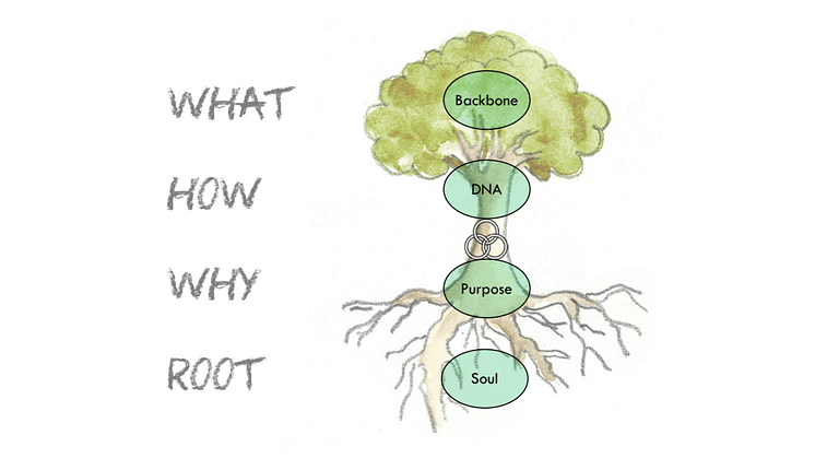 Emprogage as a complex living system with its core functions in the Heart wood of the tree.