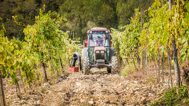 Tillfällig Lansering 3/11: Monteraponi Chianti Classico 2021