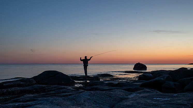 Dags för årets havsöringspremiär