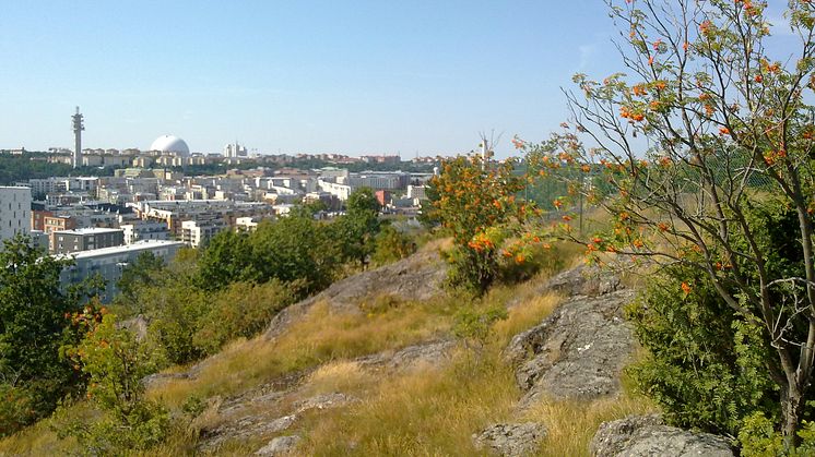 Utsikt från stadsutvecklingsområdet Henriksdal i Nacka, där SKB är ankarbyggherre och ska bygga 100 kooperativa hyresrätter. Foto: stillbild (CC BY-SA 2.0)