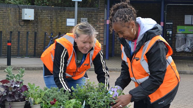 Govia Thameslink Railway staff have been busy brightening up the station with floral displays - more images available to download below