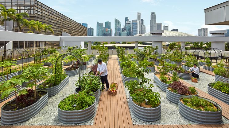 Urban Farm-A_PRCOL Marina Bay (24736406)