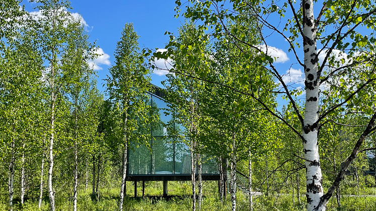 Våra land rum ligger längst älvskanten mellan björkarna.