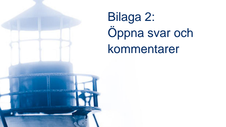 Bilaga 2 Öppna svar och kommentarer