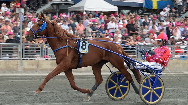 Dreammoko inbjuden till Elitloppet