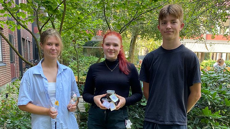 Thea Warnquist, Ottilia Svensson och Sixten Bischhaus är några av de unga entreprenörerna som deltagit i entreprenörsprogrammet Sommarliv under sommarlovet.