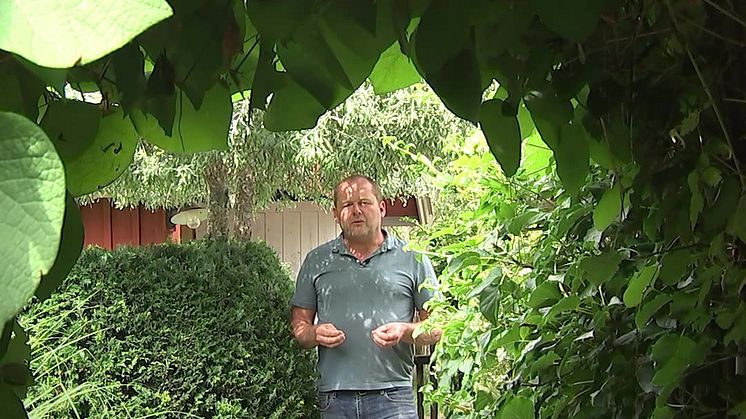 John Taylor om häckplantering