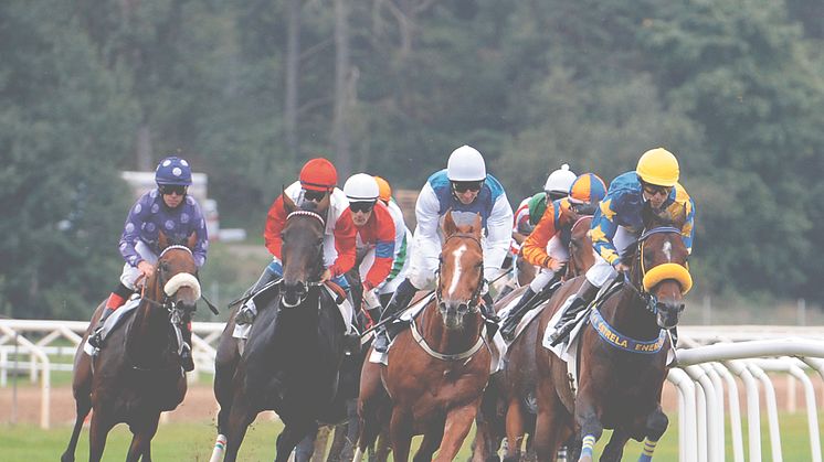 Galopp varje lördag i sommar