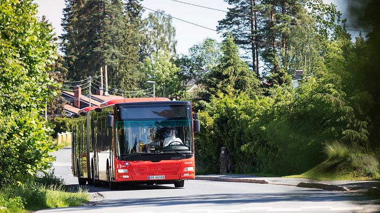 Ruter oppfordrer alle som kommer tilbake fra sommerferie til å gjøre seg kjent med høstens rutetilbud før jobb og skole starter opp igjen. 