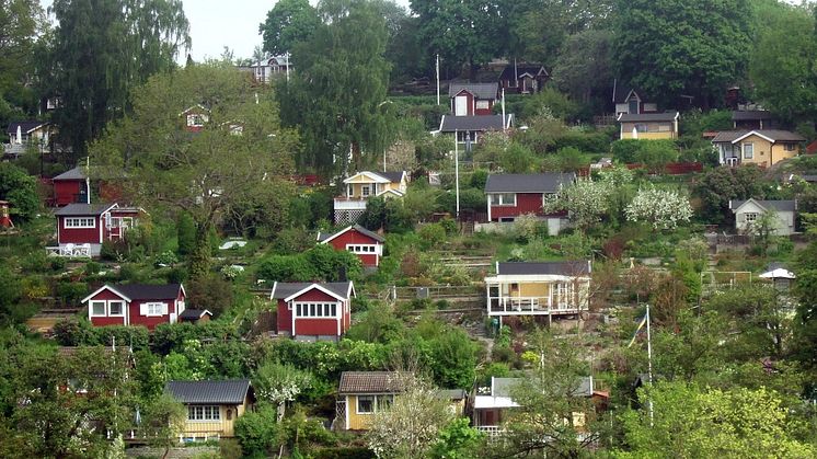 Koloniträdgårdsförbundet ny medlemsorganisation hos Studiefrämjandet