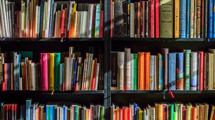 Flest danske bogudgivelser i ti år – antallet af selvudgivere vokser  