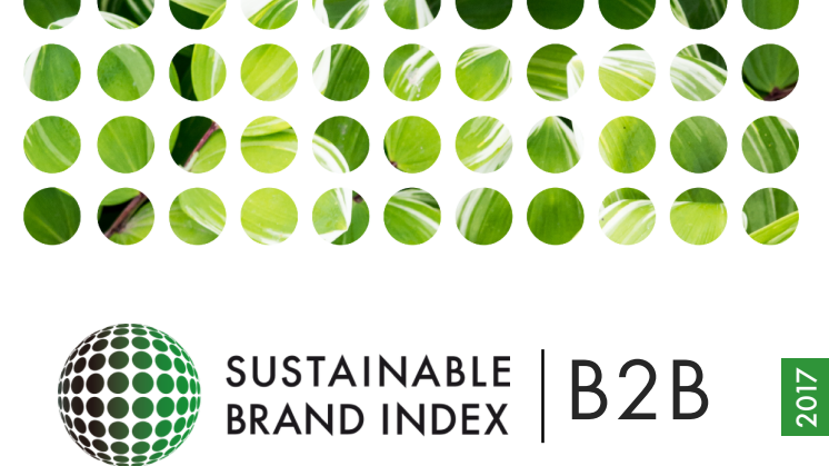 Officiell rapport Sustainable Brand Index B2B 2017