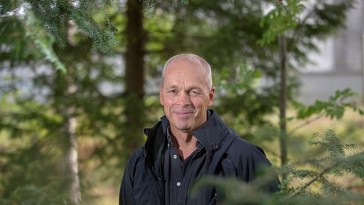 Professor Torgny Näsholm, Sveriges lantbruksuniversitet, Umeå, mottar måndag 24 september årets Marcus Wallenbergpris på 2 miljoner kronor.