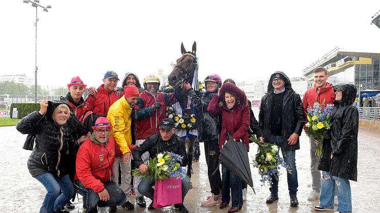 Italienske Bepi Bi, tränad och körd av Alessandro Gocciadoro, segrade i Sweden Cup. Foto TR Bild