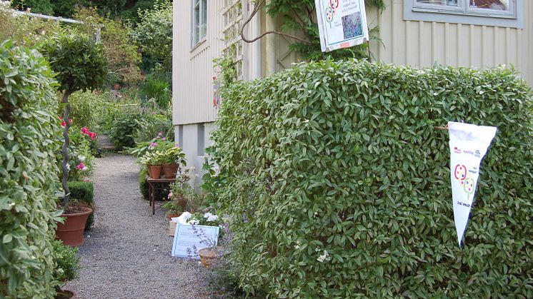 Foto från tidigare år. Fotograf: Anna-Karin Fallheden/Riksförbundet Svensk Trädgård 