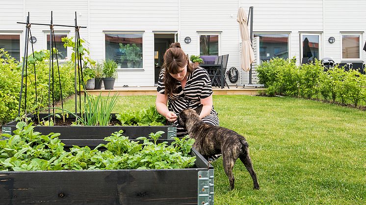 BoKlok har Sveriges nöjdaste bostadskunder – för tredje gången på fem år