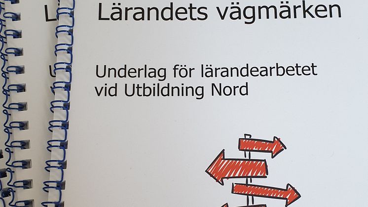 Utvecklingsarabatete har lett till bland annat en bok och nu även en dokumentärfilm