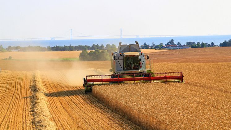 Kokkenes Køkken omlægger til 100% økologisk dansk mel og korn i nyt strategisk samarbejde med Mejnerts Mølle og Aurion